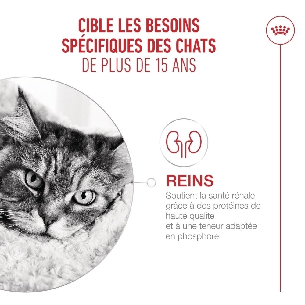 Graphique sur l'alimentation spécifique des chats de plus de 15 ans, avec image de chat et focus sur les reins.