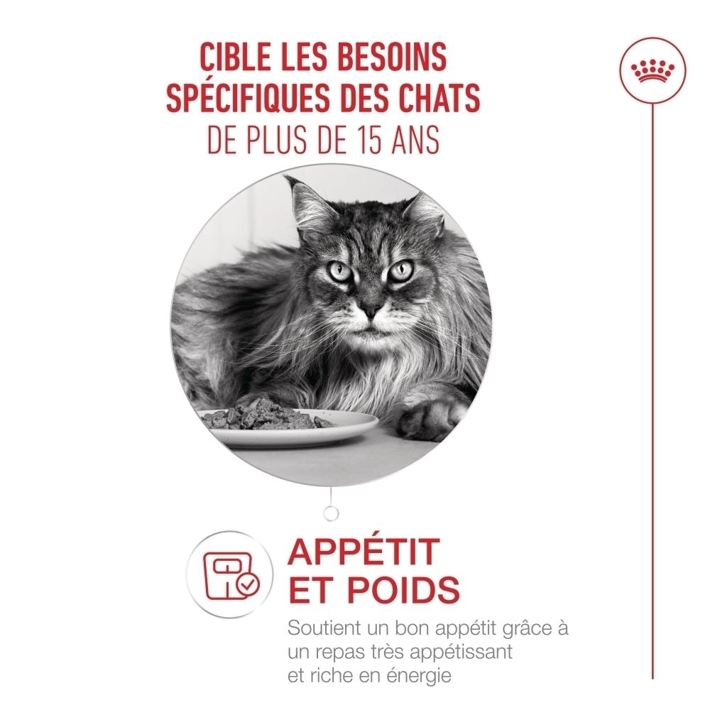Nourriture Royal Canin 15+, sachet de 85g avec morceaux en sauce.