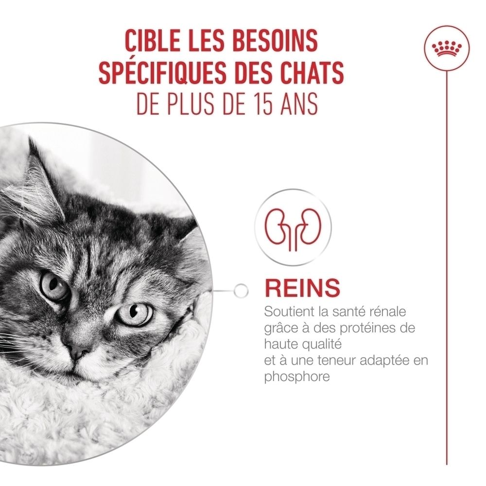 Nourriture Royal Canin 15+, sachet de 85g avec morceaux en sauce.