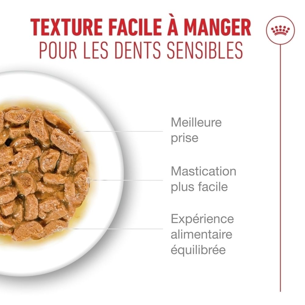 Nourriture Royal Canin 15+, sachet de 85g avec morceaux en sauce.