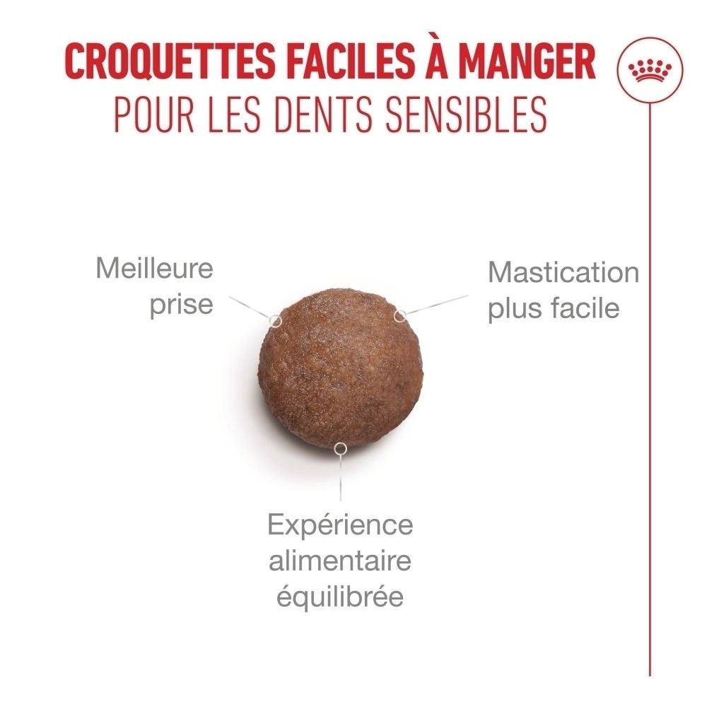 Croquettes Royal Canin FHN AGEING STERILISED 11+ 4kg pour dents sensibles, facile à manger.