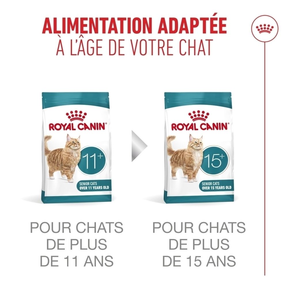 Emballages Royal Canin FHN AGEING STERILISED 11+ 4kg et 15+ comparés pour une alimentation adaptée.