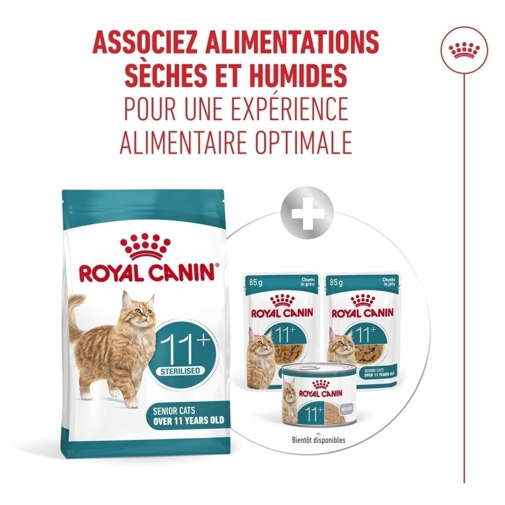 Options Royal Canin FHN AGEING STERILISED 11+ 4kg croquettes et nourriture humide pour une alimentation optimale.