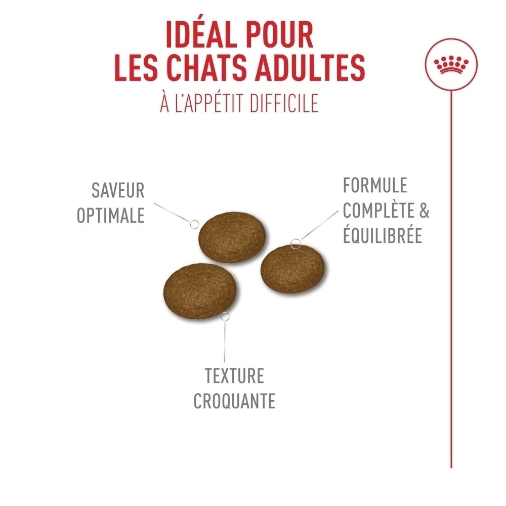 Trois croquettes rondes et brunes pour nourriture pour chats, étiquetées "Saveur optimale", "Formule complète & équilibrée" et "Texture croquante".