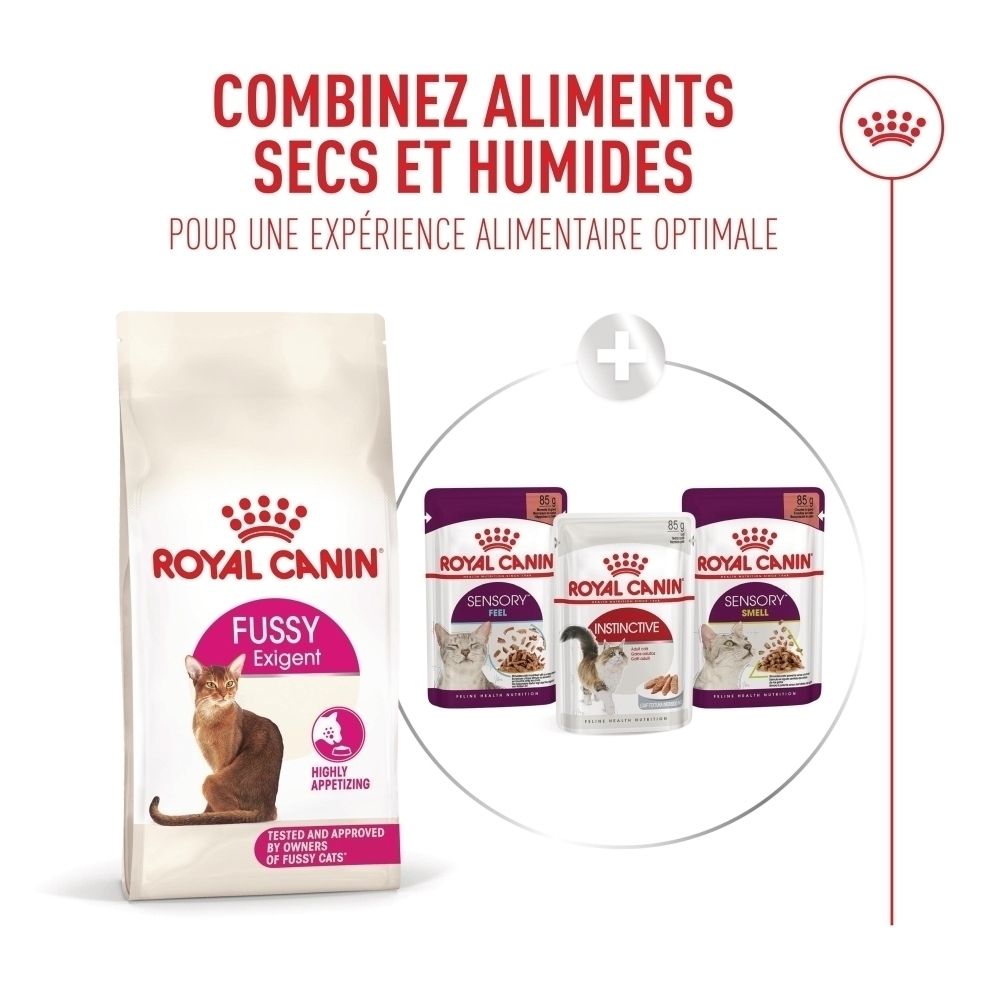 Croquettes Royal Canin Fussy Exigent pour chat et trois sachets de nourriture humide.