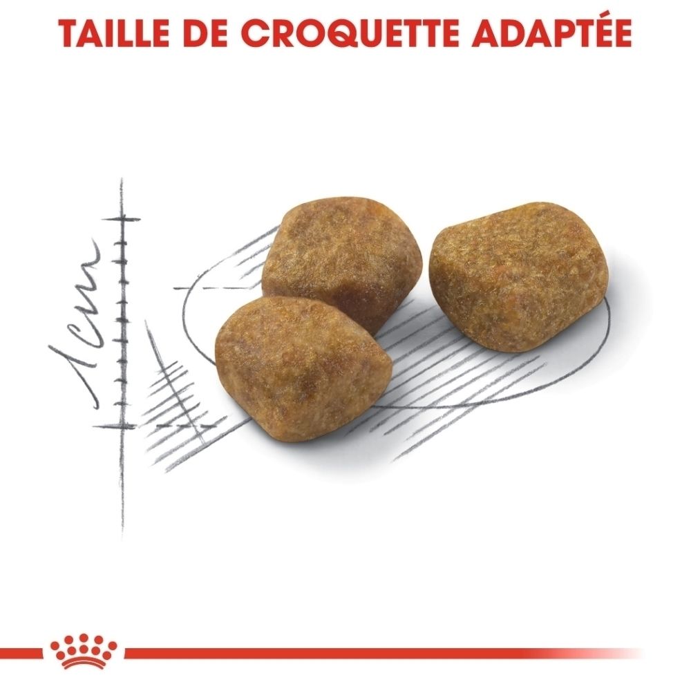 Sac Royal Canin Indoor 7+ avec informations sur la vitalité, les odeurs et les reins.