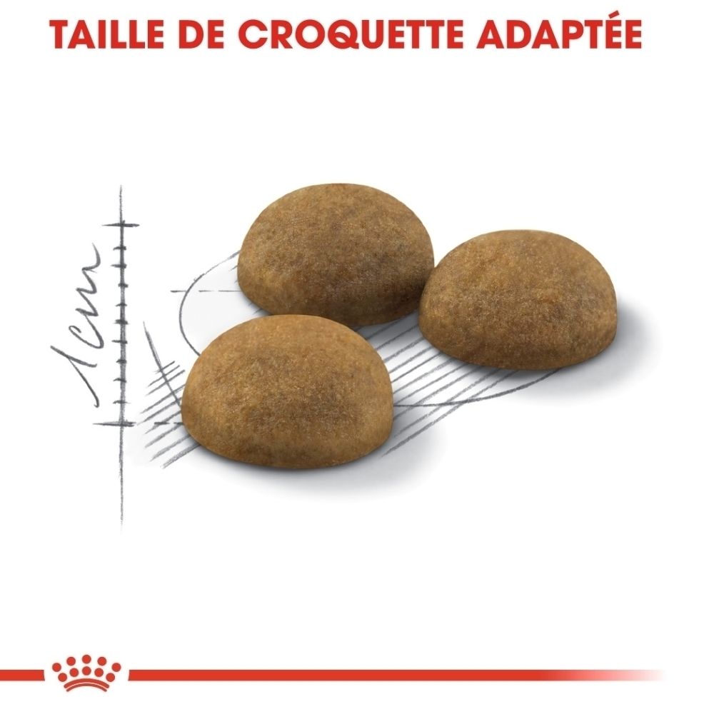 Trois croquettes brunes sur un schéma technique avec des marques de taille.