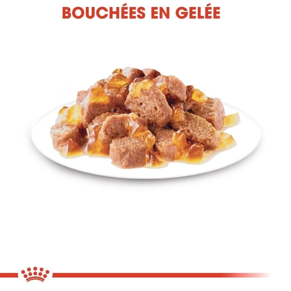 Morceaux de viande en gelée sur une assiette blanche.