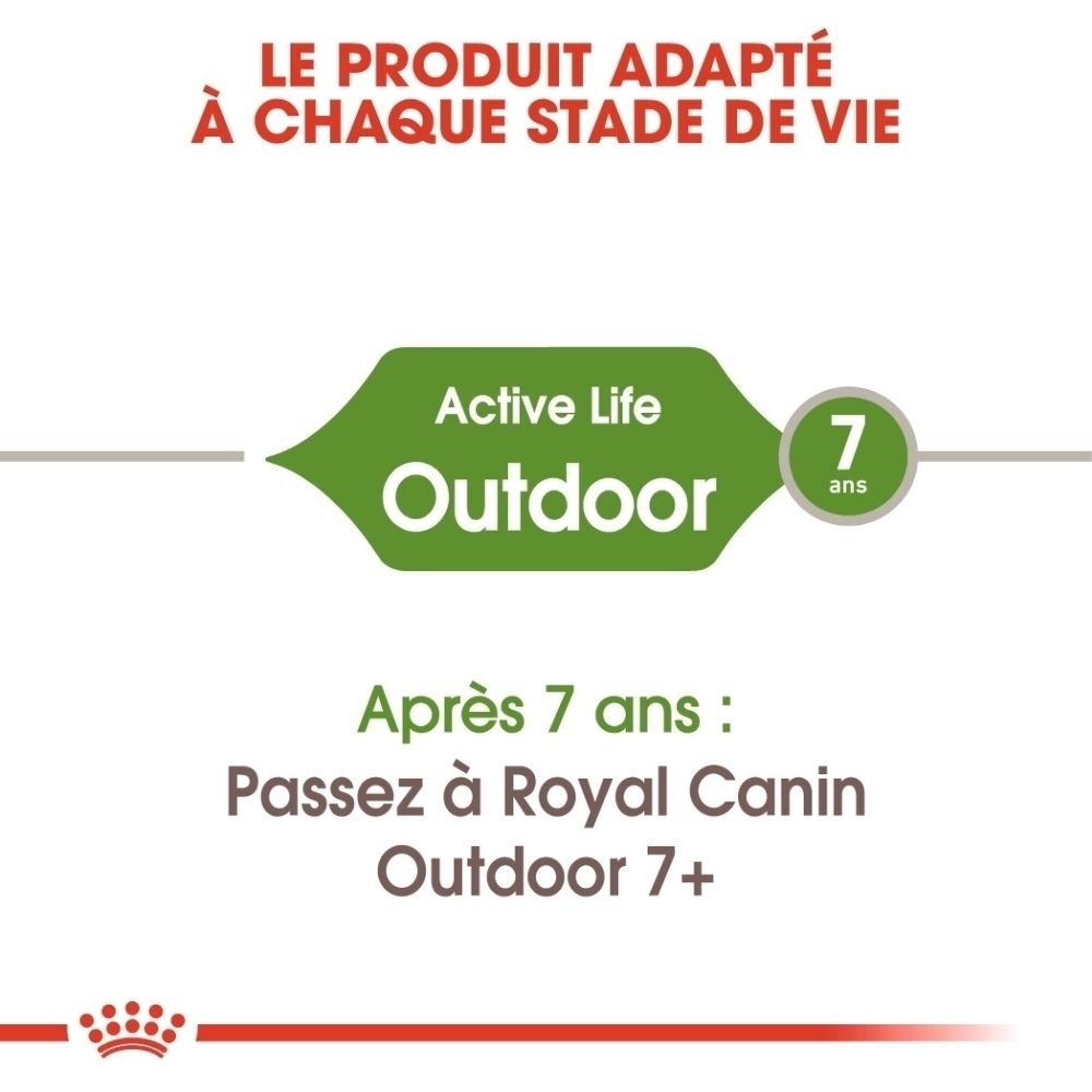 Information produit : Active Life Outdoor, pour chiens de plus de 7 ans.