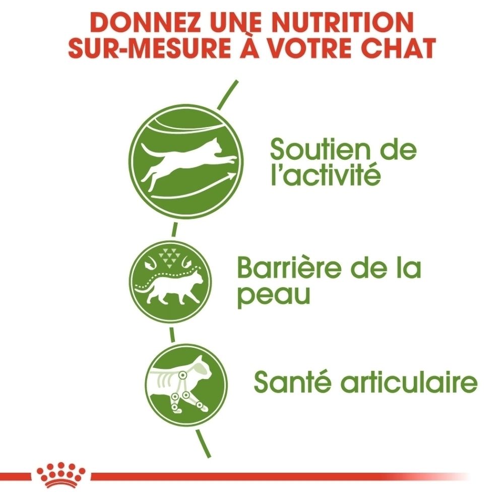 Graphique avec trois icônes : chat en mouvement pour le soutien de l'activité, chat avec symbole de peau pour la barrière cutanée, chat avec symbole articulaire pour la santé articulaire.