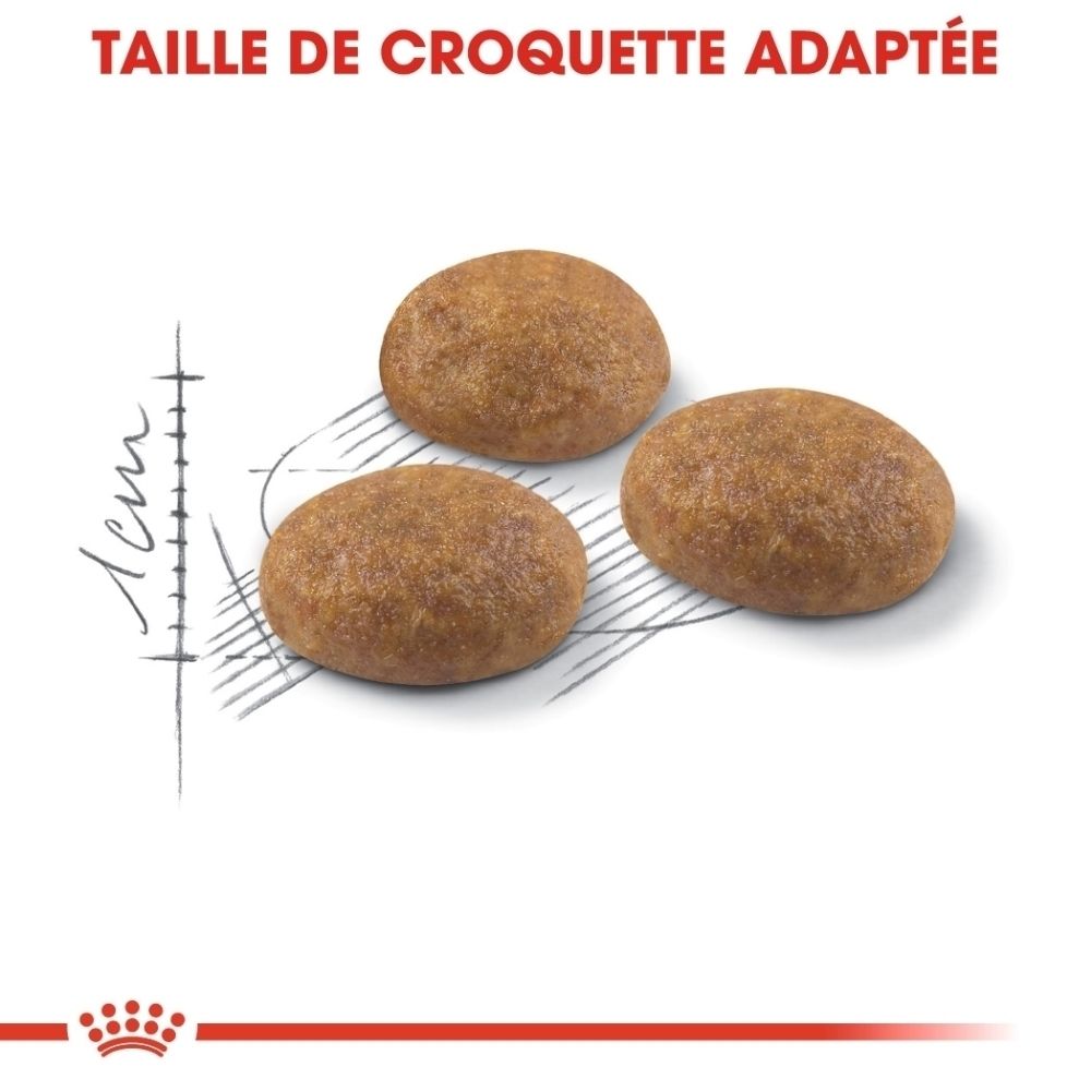 Trois croquettes rondes et brunes d'environ 1 cm, sur fond blanc.
