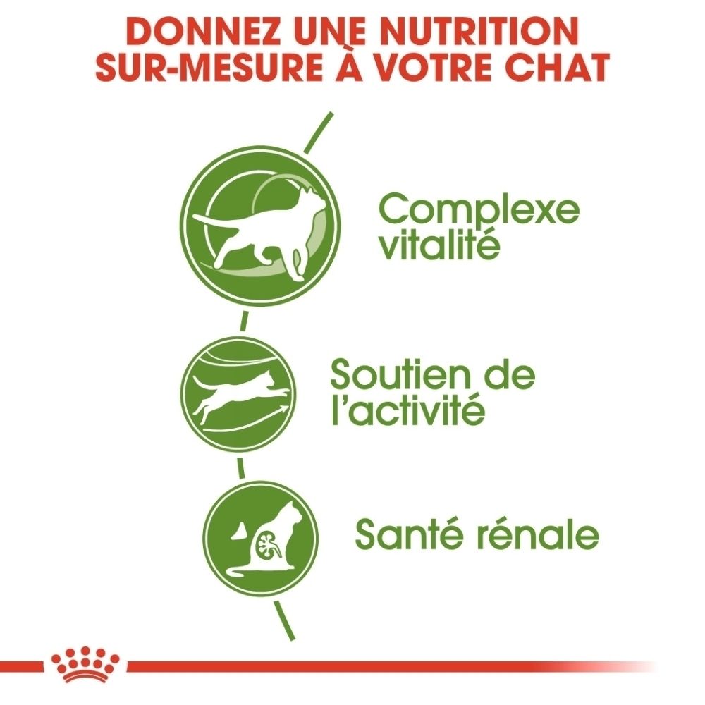 Informations produit Royal Canin Outdoor 7+ : complexe vitalité, soutien activité, santé rénale.