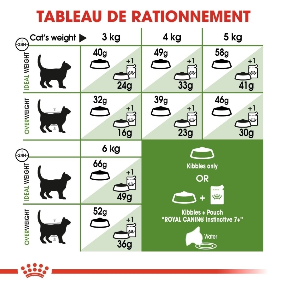 Tableau de rationnement Royal Canin Outdoor 7+ pour chats, indiquant les quantités journalières selon le poids et l'activité.