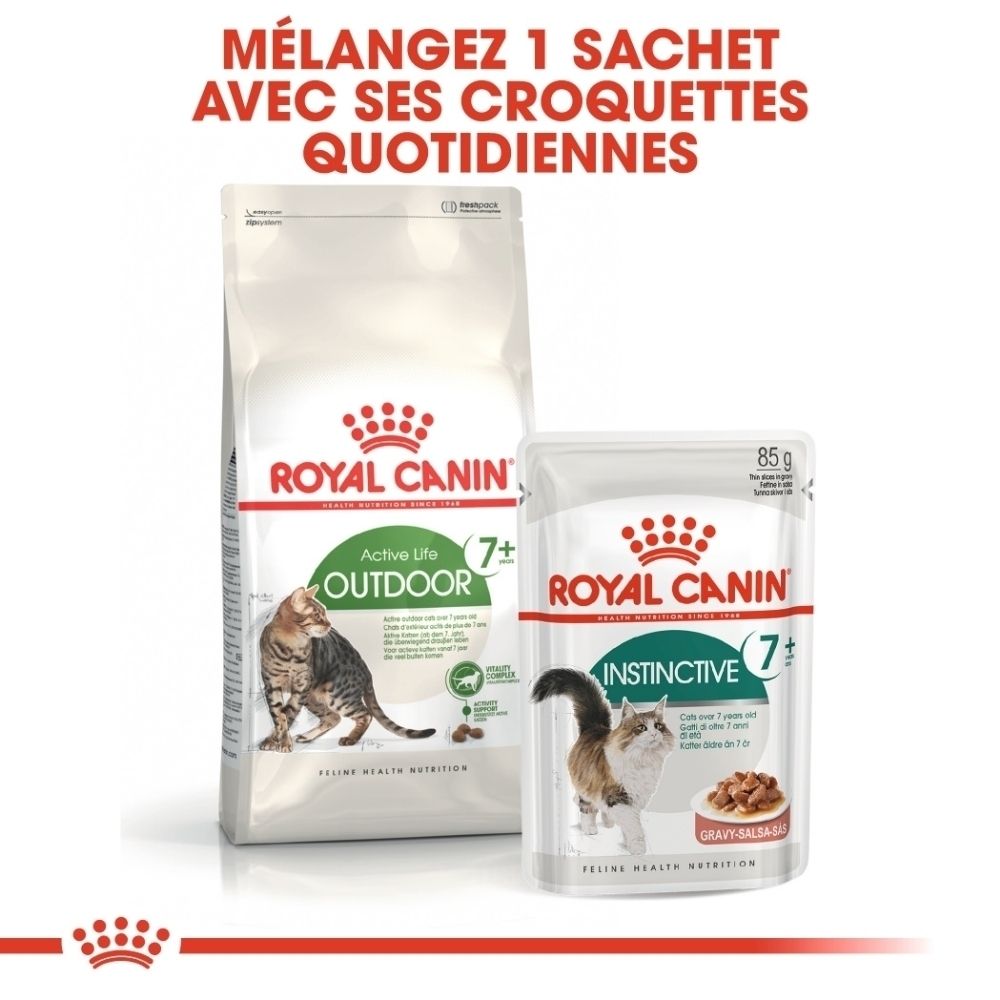 Nourriture Royal Canin Outdoor 7+ et sachet Royal Canin Instinctive 7+ nourriture humide, montrant une alimentation combinée.
