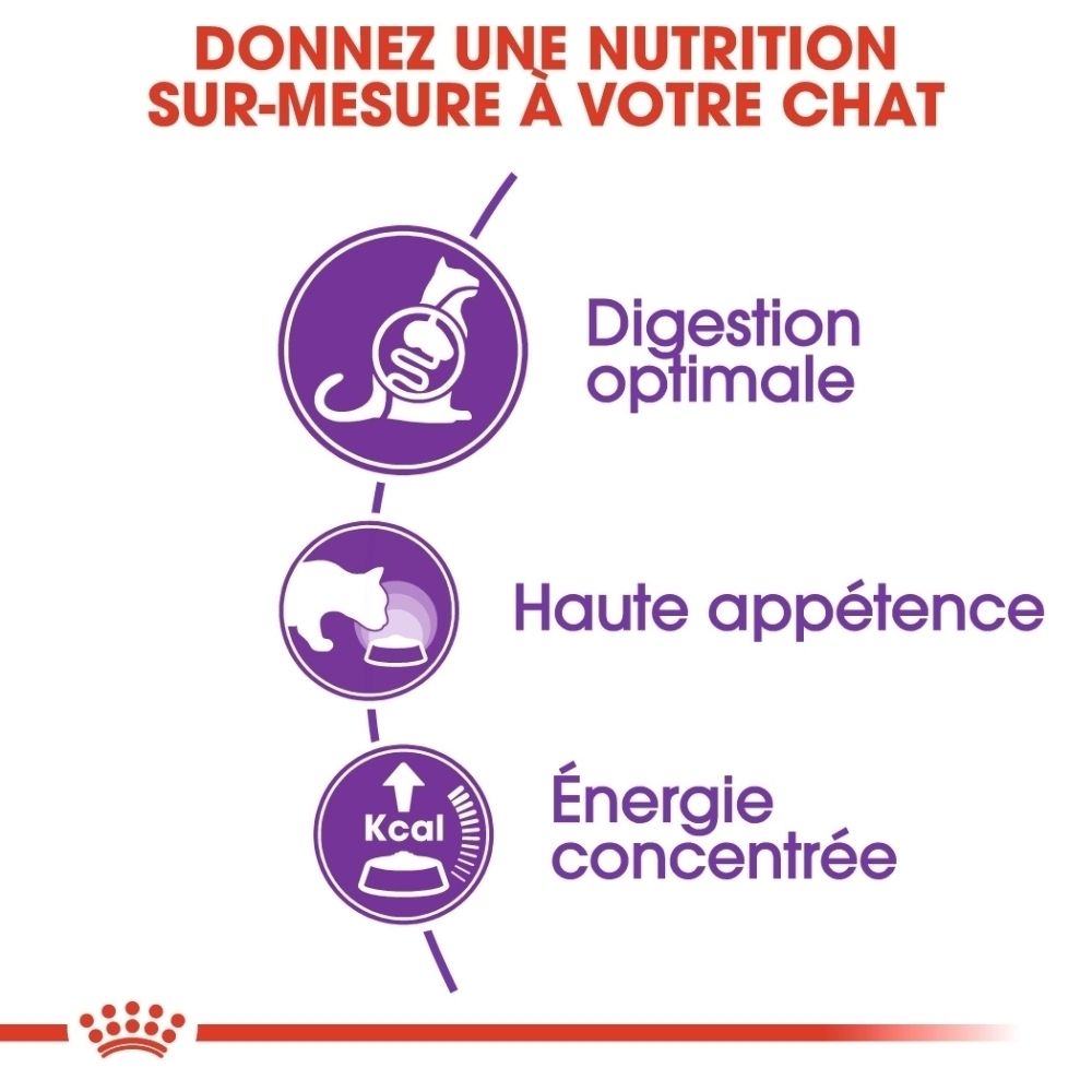 Royal Canin FHN SENSIBLE : Digestion optimale, croquettes adaptées.
