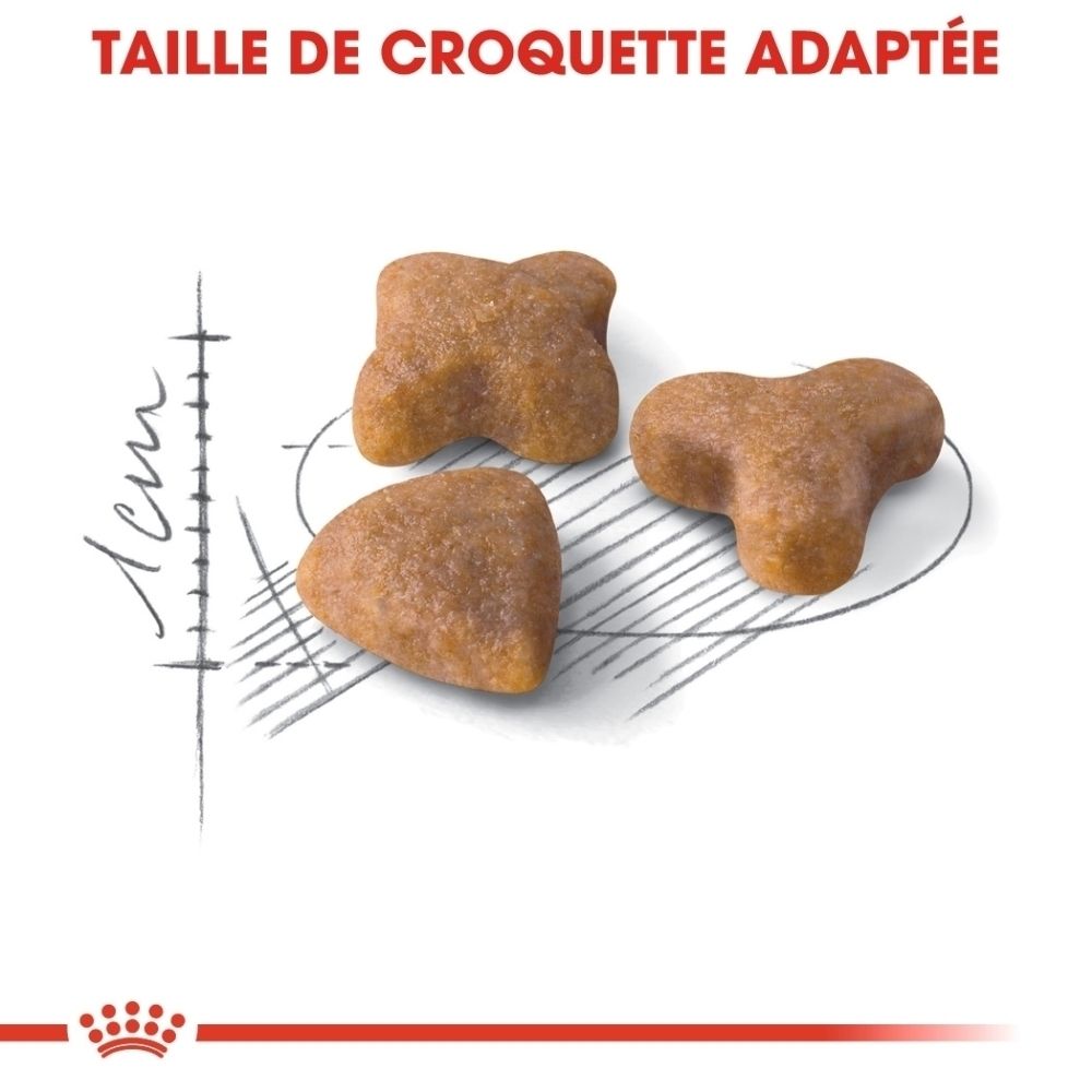 Royal Canin FHN SENSIBLE : Digestion optimale, haute appétence, énergie.