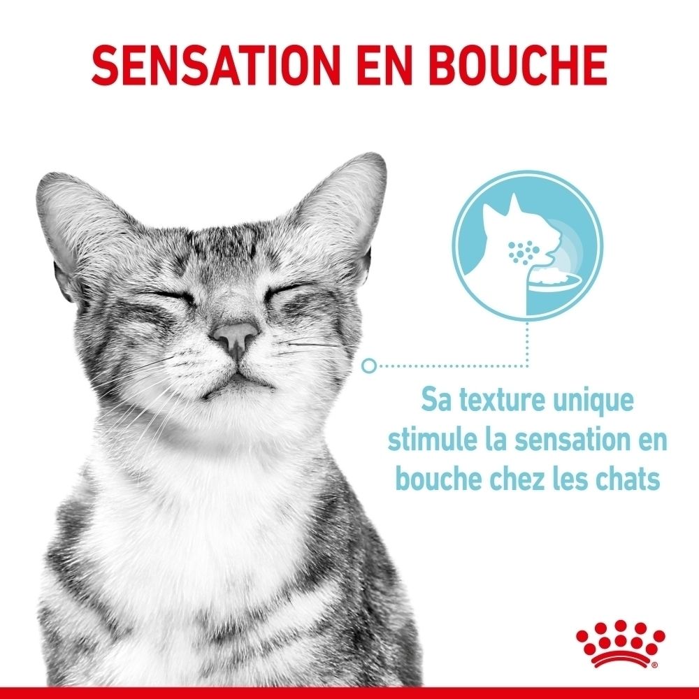 Royal Canin Sensory Feel : Nouvelle technologie humide avec morceaux en sauce.