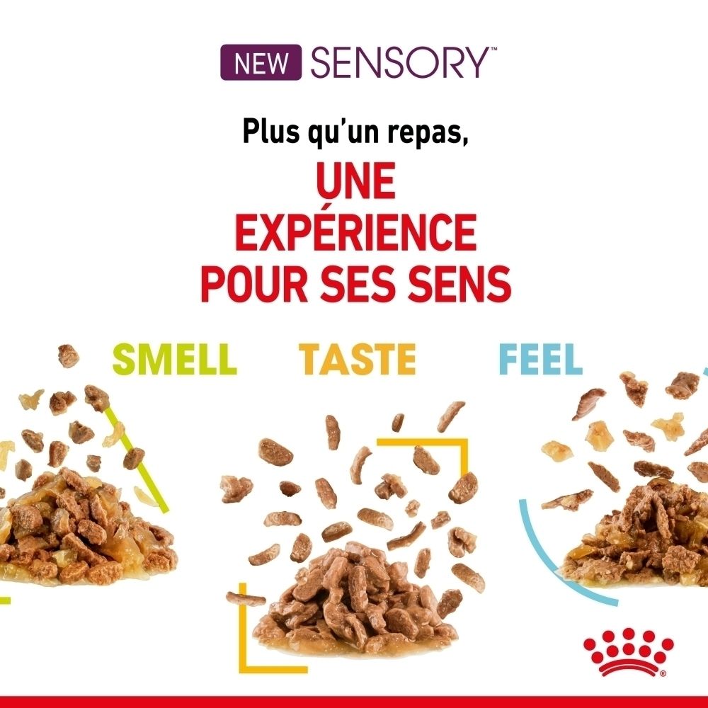 Multipack Royal Canin Sensory : 4x Smell, 4x Taste, 4x Feel.