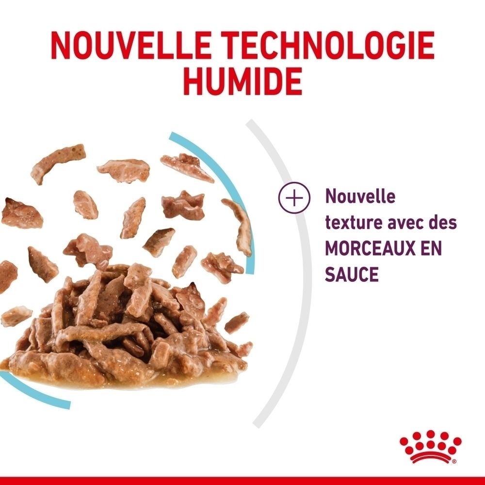 Alimentation mixte Royal Canin : croquettes et nourriture humide.