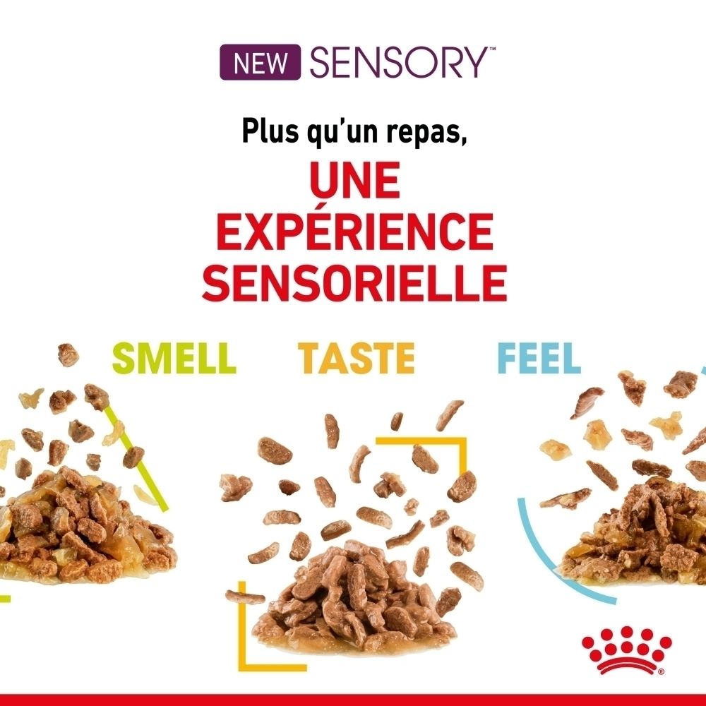 Produit d'alimentation animale avec trois représentations : odorat, goût et toucher. Montre différentes croquettes.