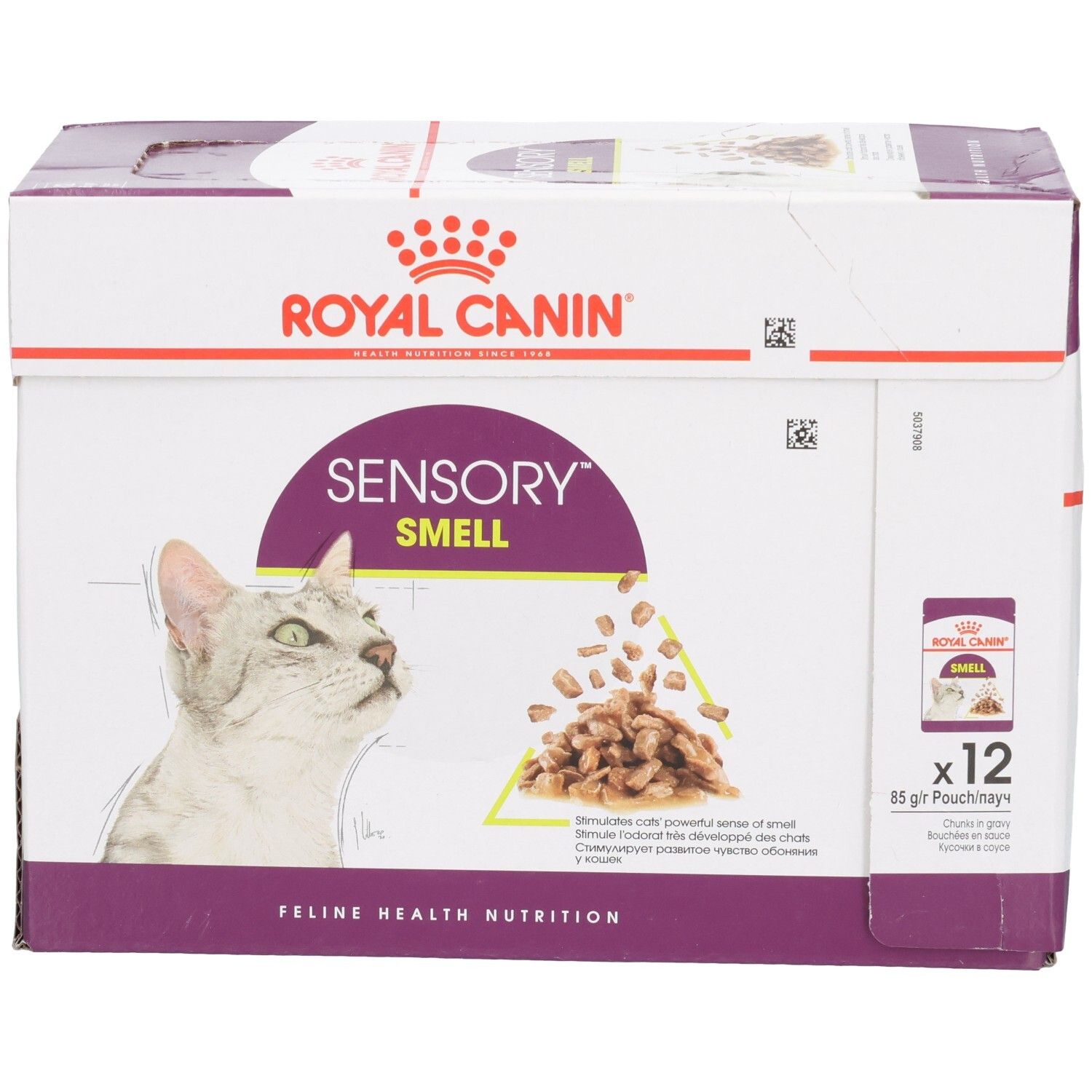 Face avant d'une boîte Royal Canin Sensory Smell pour chats avec illustration de chat.