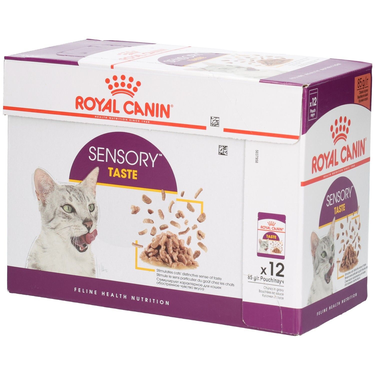 Boîte de 12 sachets Royal Canin Sensory Taste pour chats, vue de face.