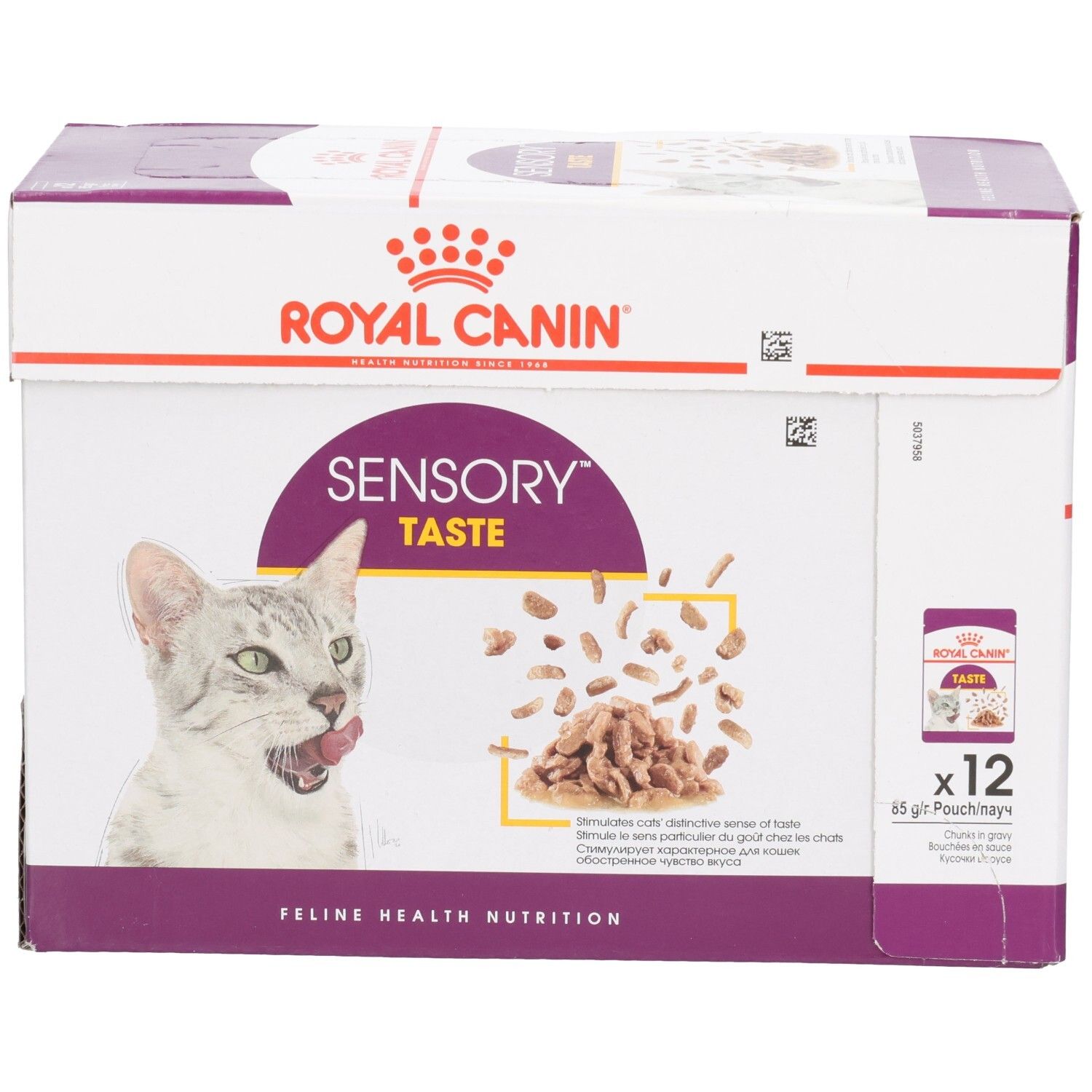 Boîte Royal Canin Sensory Taste pour chats, vue de face avec chat et morceaux de nourriture.