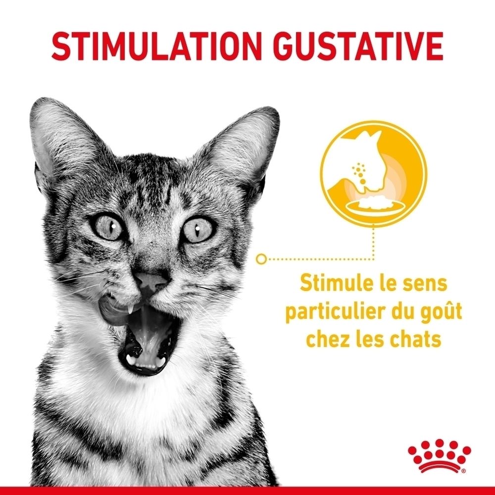 Sachet Royal Canin Sensory Taste de 85g de nourriture en sauce.