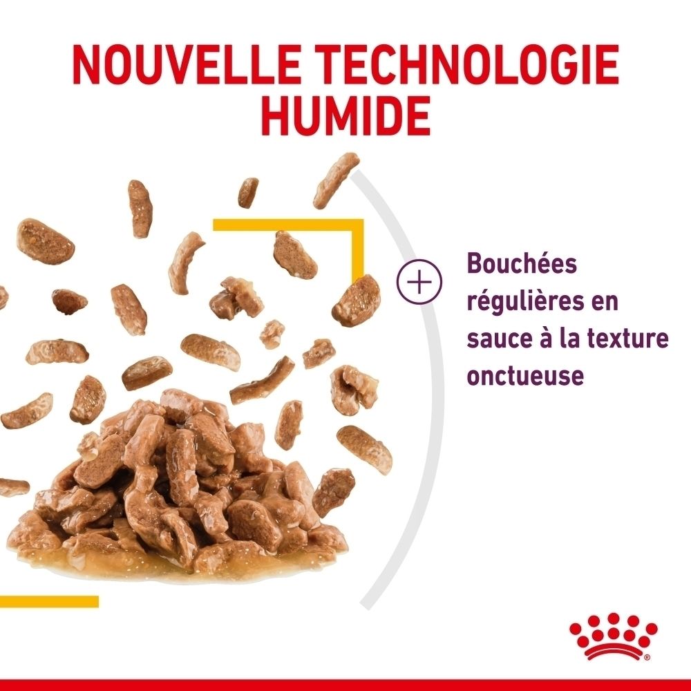Sachet Royal Canin Sensory Taste de 85g de nourriture en sauce.