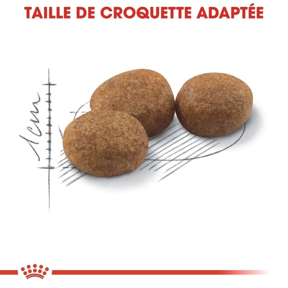 Taille de croquette adaptée pour Royal Canin Sterilised 37 nourriture sèche pour chat.