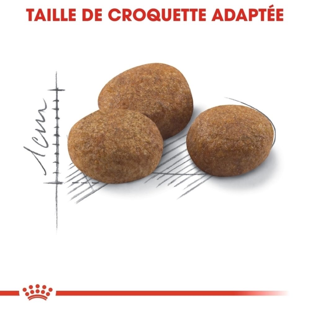 Croquettes Royal Canin Sterilisé 7+: Taille de croquette adaptée.