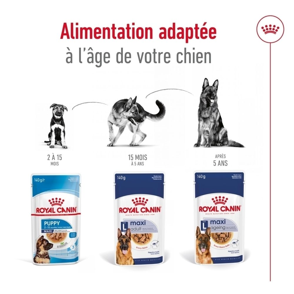 Recommandations alimentaires pour Royal Canin Maxi Ageing pour chiens, basées sur le poids du chien.