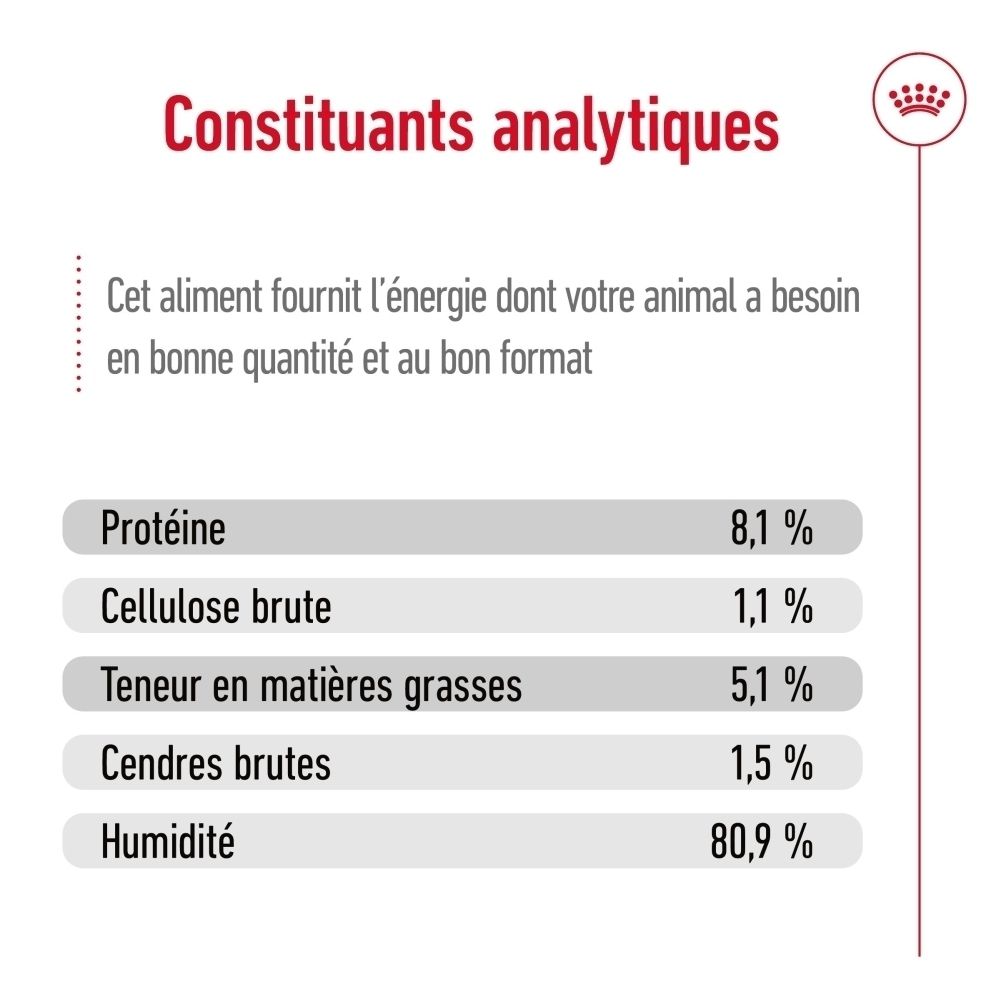 Gros plan d'un sachet Royal Canin Maxi Ageing 140g pour chien, centré sur les bouchées en sauce.