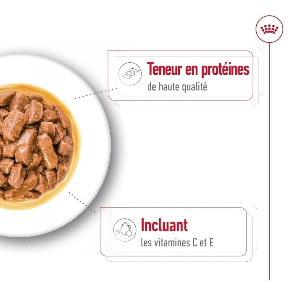 Morceaux de viande en sauce dans une assiette blanche. Contient des protéines et des vitamines C et E.