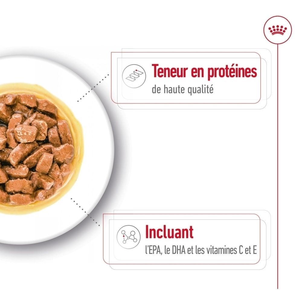 Avant de la boîte Royal Canin Medium Ageing. Montre un chien et une gamelle de nourriture.