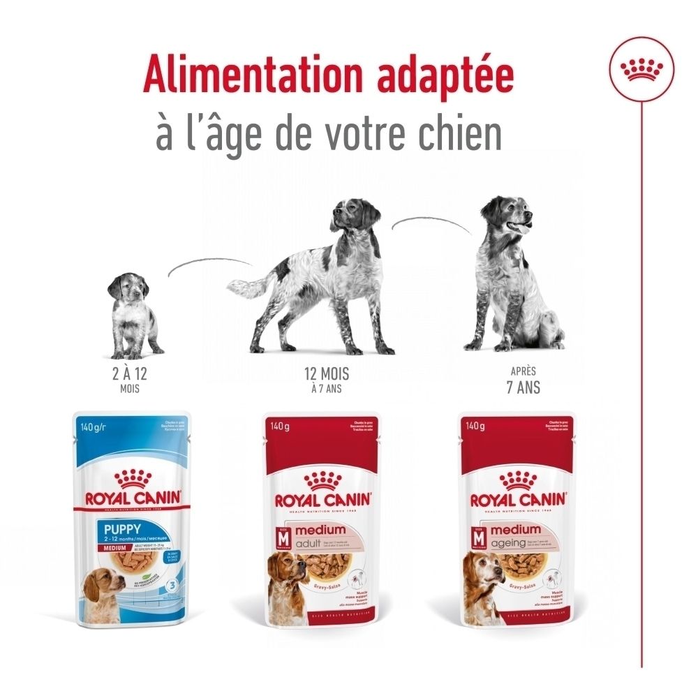 Avant de la boîte Royal Canin Medium Ageing. Montre un chien et une gamelle de nourriture.