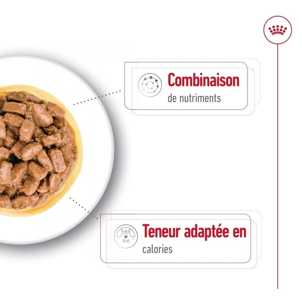 Sachet Royal Canin Mini Ageing 85g, face avant avec chien et nourriture.