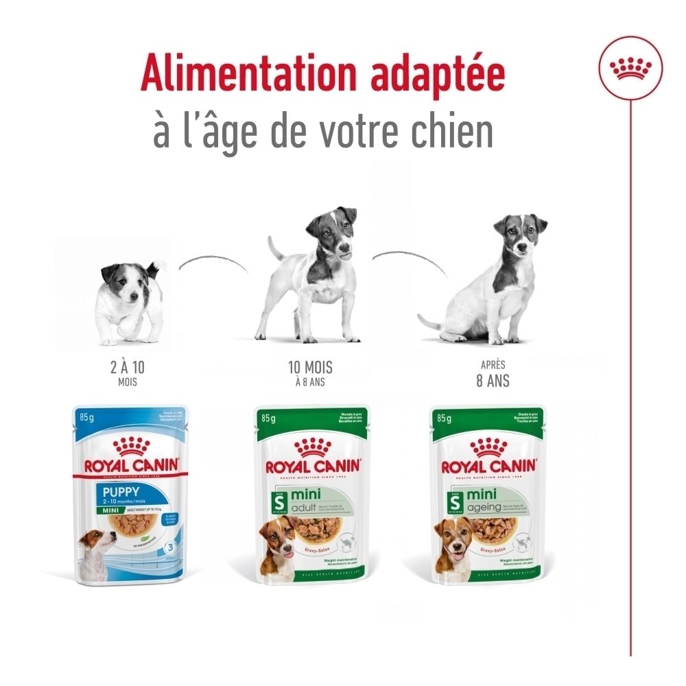 Sachet Royal Canin Mini Ageing 85g, face avant avec chien et nourriture.