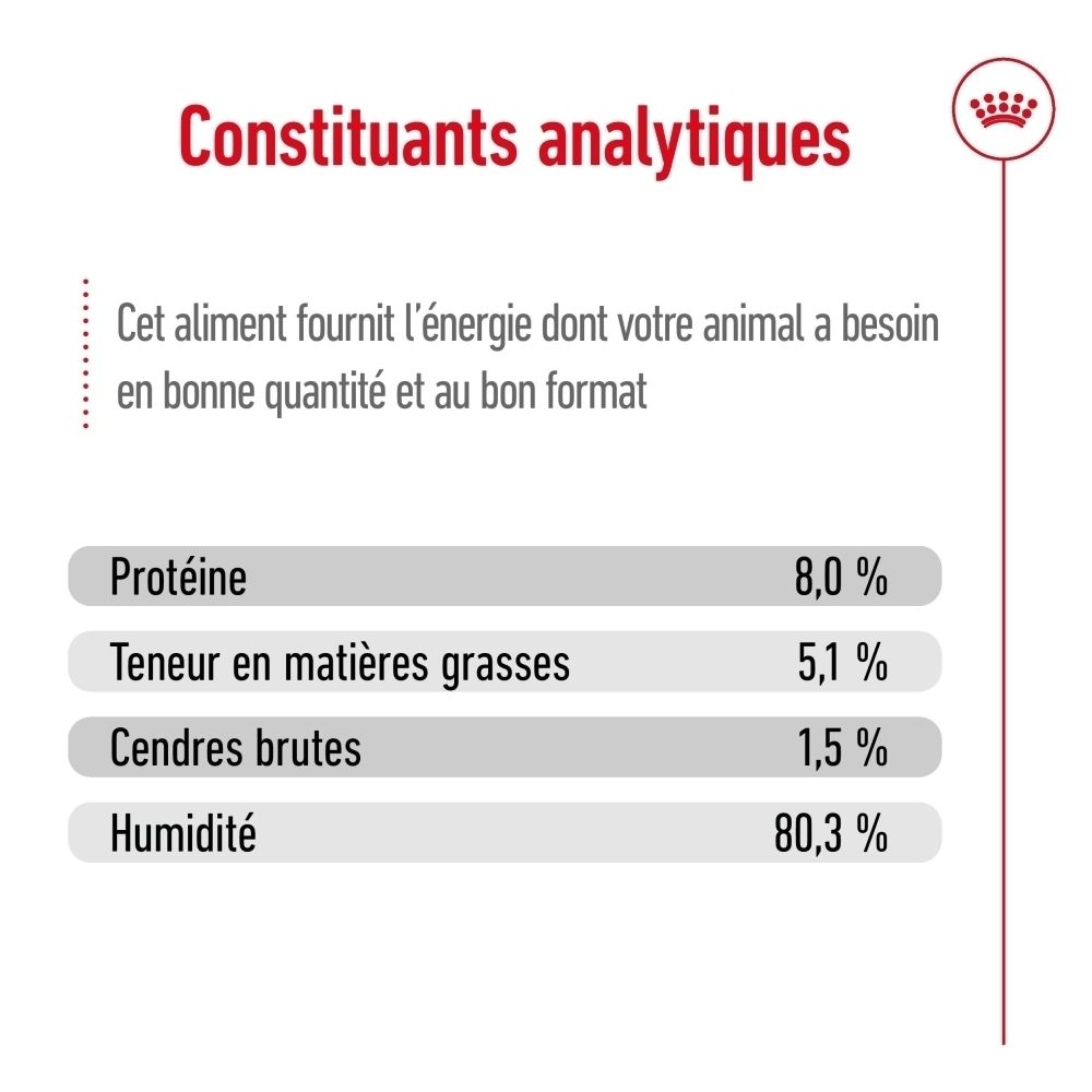 Sachet Royal Canin Mini Ageing 85g, face avant avec chien et nourriture.