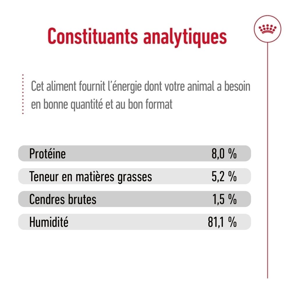 Graphique avec visage de chien et texte sur la "Santé du système immunitaire" pour Royal Canin.