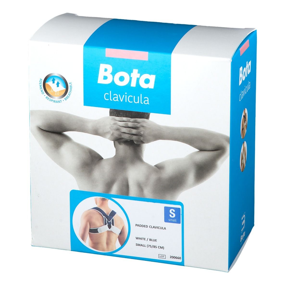 Bota Padded Clavicula Splint Small