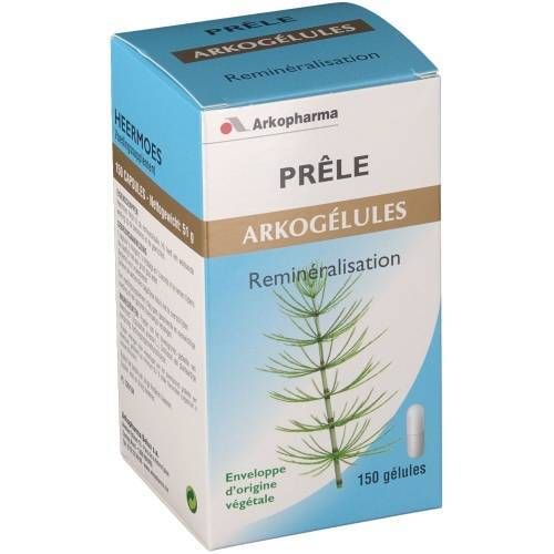 Arkogelules Prêle