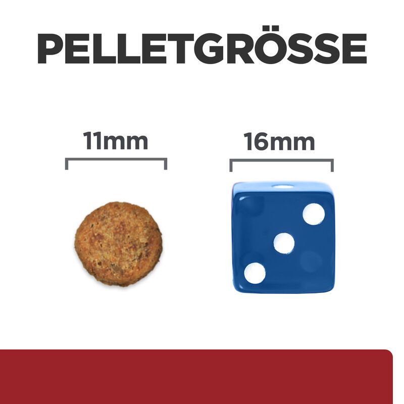 Comparaison des tailles de granulés : 11 mm et 16 mm. Un granulé et un dé bleu avec des points blancs.