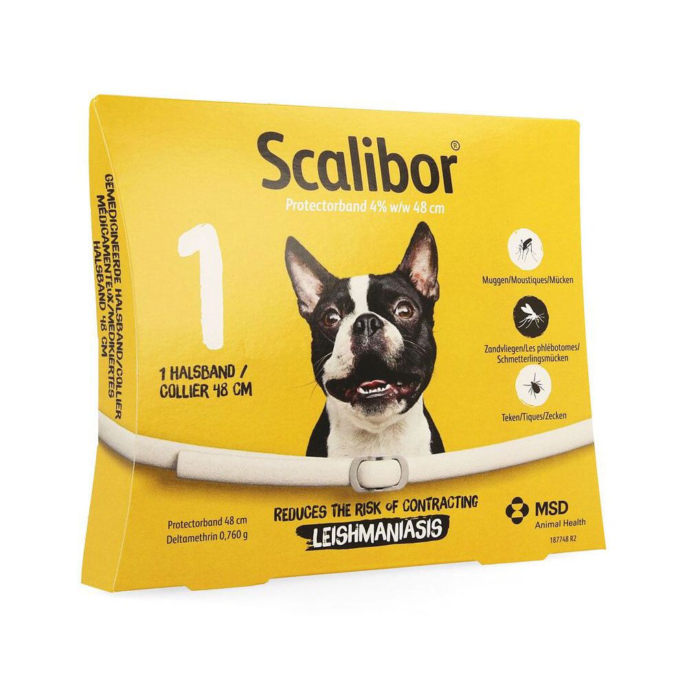 Boîte jaune avec collier Scalibor pour chiens. Inscription: 1 collier, 48 cm, photo de chien, logos.
