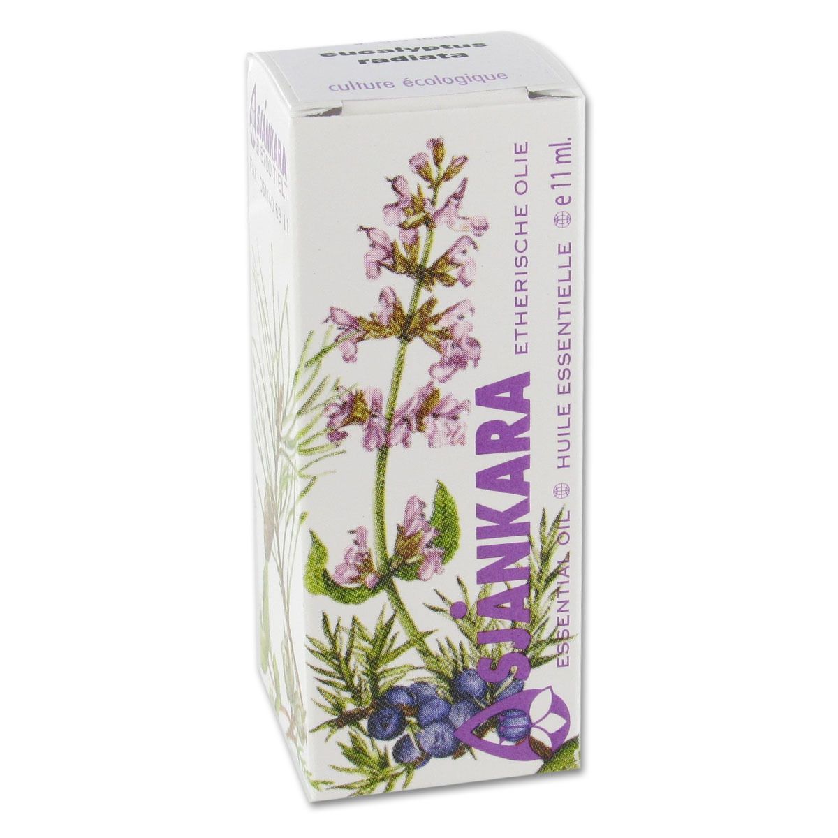 Sjankara Eucalyptus Radiata Huile Essentielle 1113