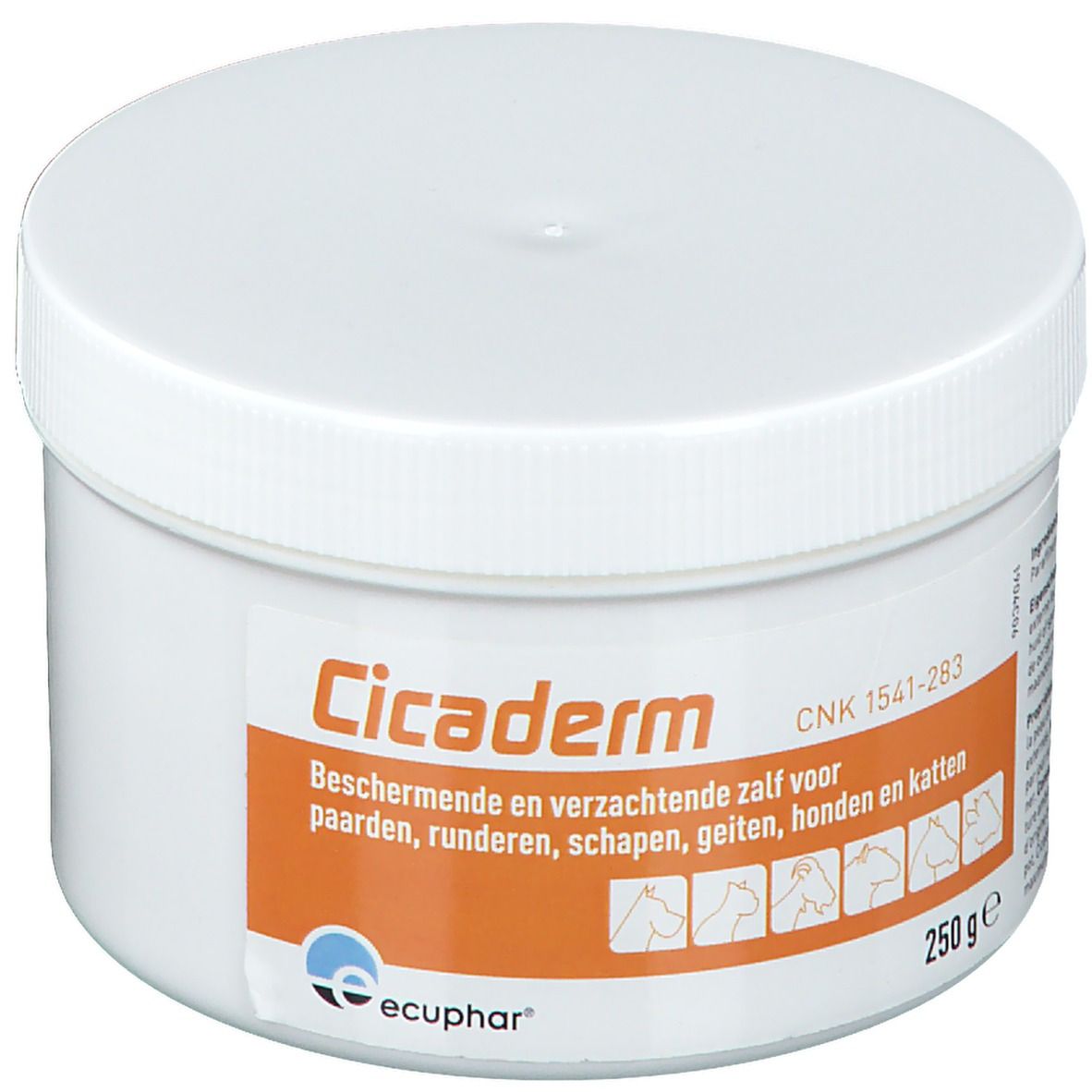 Cicaderm Crème Pis