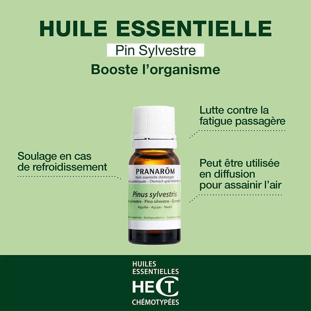 Flacon en verre brun avec bouchon blanc et étiquette verte. PRANAROM et Pinus sylvestris sur l'étiquette.