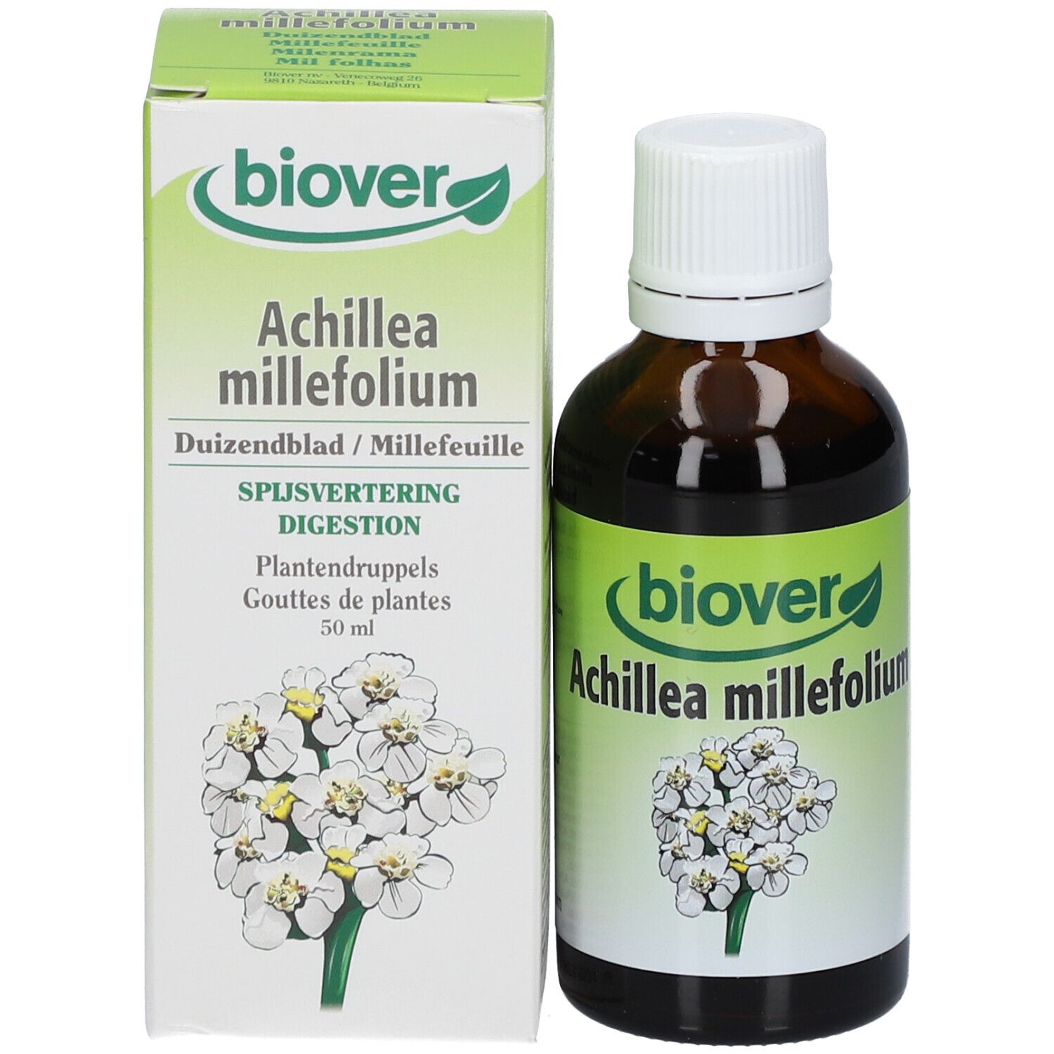 Biover Achillea Millefolium