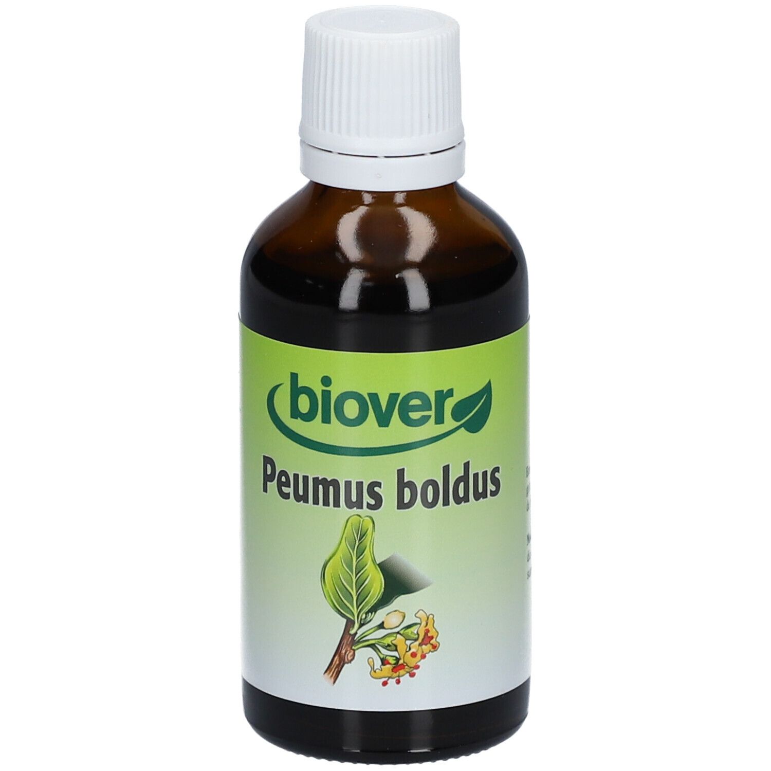 Biover Boldo (Peumus Boldus) Teinture mère bio