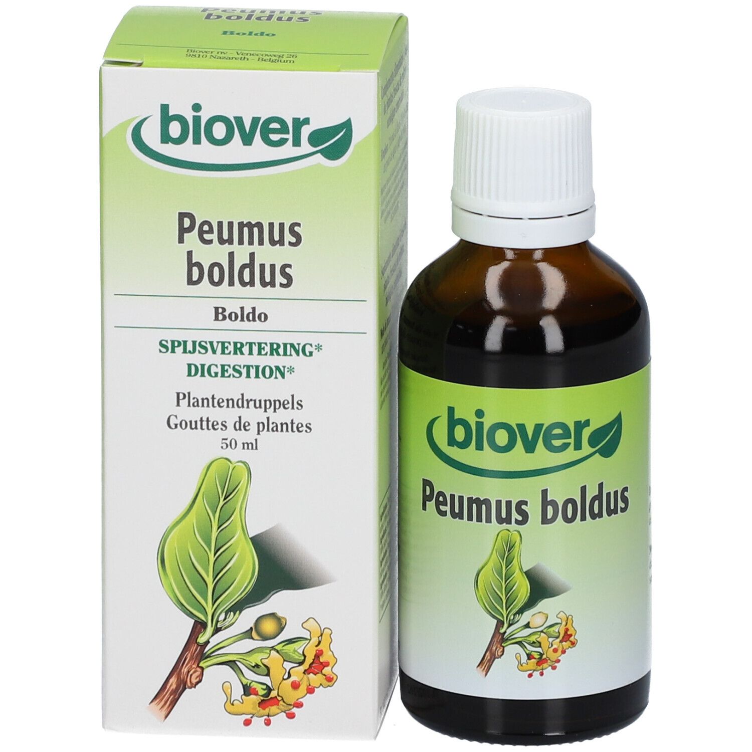 Biover Boldo (Peumus Boldus) Teinture mère bio